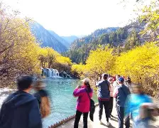 多米全站APP下载-无焰泄放装置