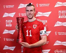 多米APP下载-比利时vs威尔士比赛结果