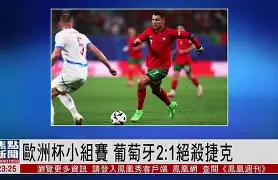 多米全站APP下载-葡萄牙队狂胜冰岛,欧洲杯小组积分领先吗