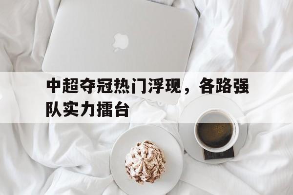 多米APP-中超比赛冠军